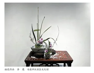 顺藤摸瓜（小戏）