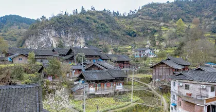 文化共生视域下传统村落互嵌式发展研究