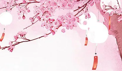 冬樱花下盼春天