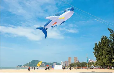 从文创产业视角浅谈阳江风筝的传承与发展 
