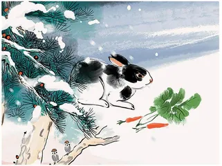 阿根和兔子
