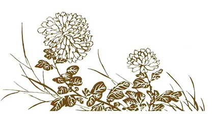 关于汉中市文化馆四期公益性花鸟画培训的探索与实践