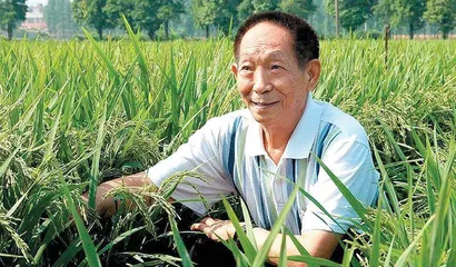 祭袁老墓有感