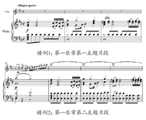 莫扎特《D大调长笛协奏曲K.314》的 音乐分析与技巧研究