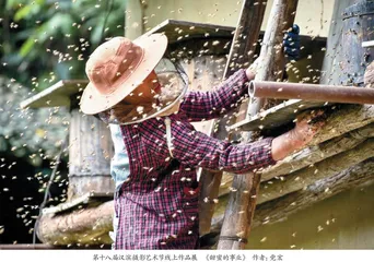 传承地域文化 践行文化复兴