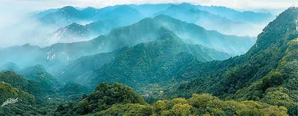 县域文化在乡村振兴发展中的地位和作用