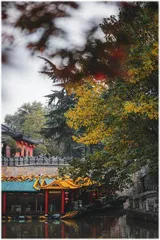 上有天堂,下有淮扬菜1