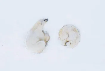 弗洛里安·勒杜 极地迷恋3