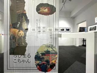 去中国的慢船4