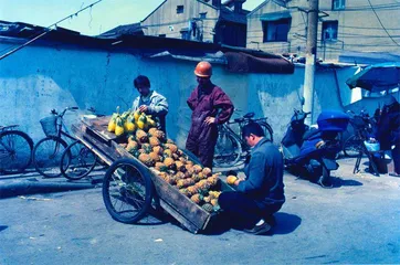 去中国的慢船5