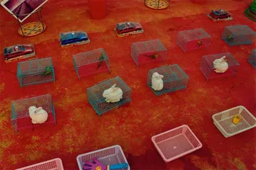 去中国的慢船12
