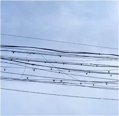 离开李爱军,地球会照样转吗4