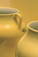 用镜头捕捉万物之美