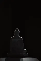 用镜头捕捉万物之美1