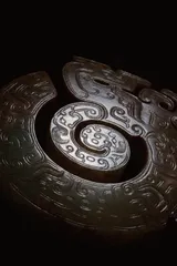 用镜头捕捉万物之美3