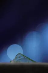用镜头捕捉万物之美5