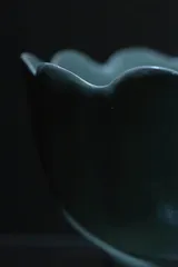 用镜头捕捉万物之美6