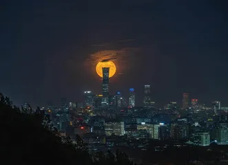 观片