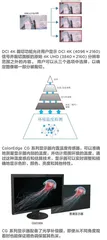 不仅是4K!更是真实的色彩4