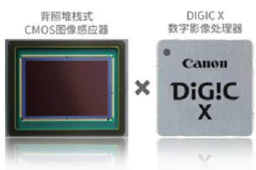 洞悉万物之美5