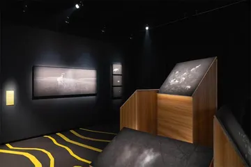 策展手记Ⅳ1