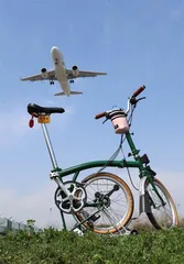 小巧饼干头4