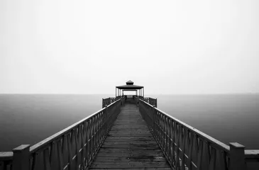 黑与白