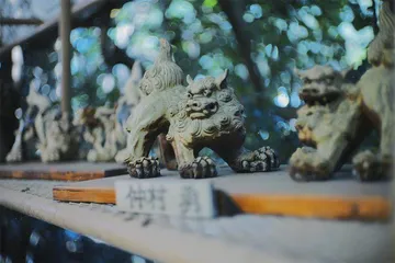 谁还在 2023 年玩转接?3