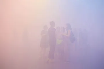 安·维罗尼卡·詹森斯:粉黄蓝1