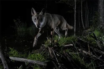 震撼心灵的佳作!4