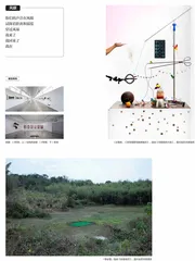 摄影新节点,生于一九九〇于风暴中心治愈我3