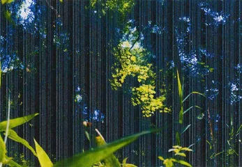 2.感受或经历3