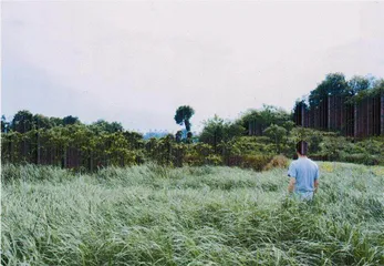 2.感受或经历6