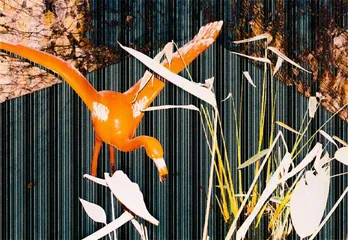 2.感受或经历9