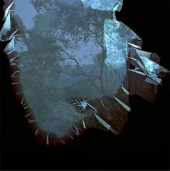 2.感受或经历12