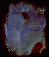 2.感受或经历13