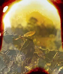 2.感受或经历16