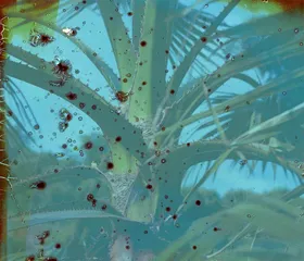2.感受或经历17