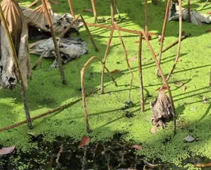 无惧远近,全焦段超清影像7
