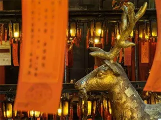 无惧远近,全焦段超清影像8