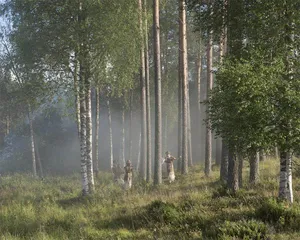 TerjeAbusdal 刀耕火种 远古至今的人地关系3