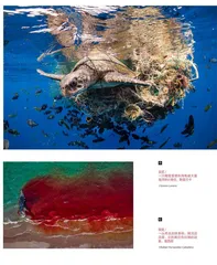 2022世界海洋摄影师大赛获奖作品关注海洋多样性与危机!2