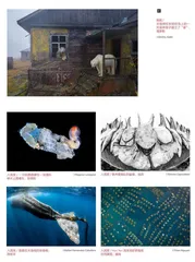 2022世界海洋摄影师大赛获奖作品关注海洋多样性与危机!3