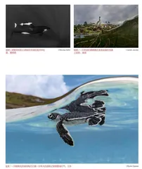 2022世界海洋摄影师大赛获奖作品关注海洋多样性与危机!9