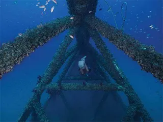 蓝色世界的环境变迁5