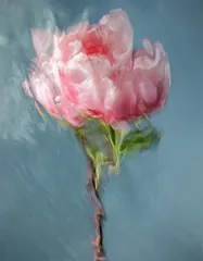 芭芭拉·科尔:光影水舞4