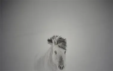 王争平:草原三部曲把远方的远归还草原5