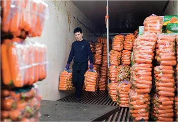 冷链狂奔,为了自由3