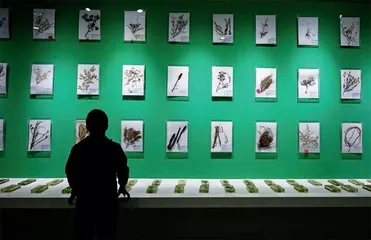 美丽中国背后的生态密码