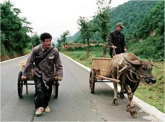 路在脚下，哪儿都能去1